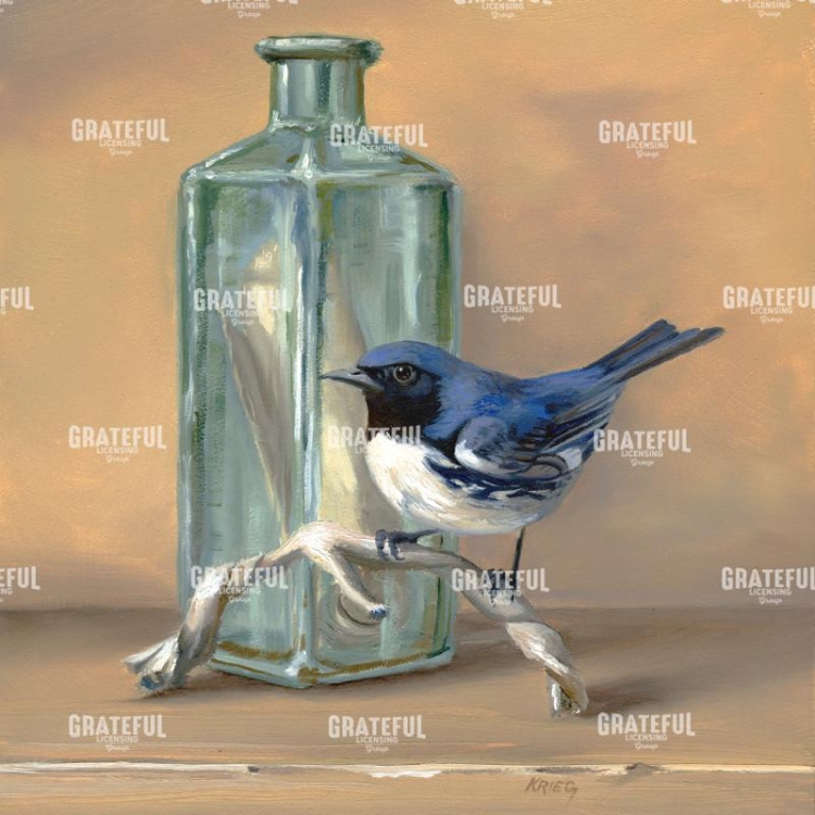 Flotsam Bird
