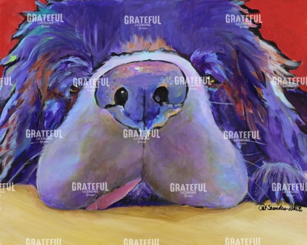 Graysea