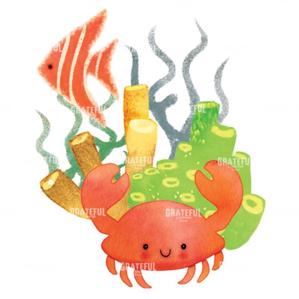 Crab 4