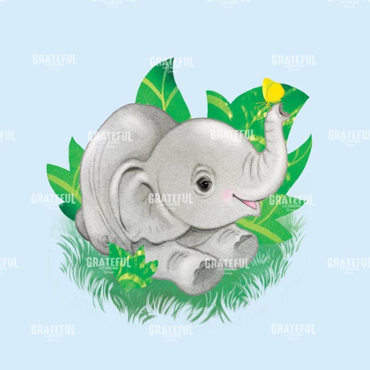 Baby Elephant