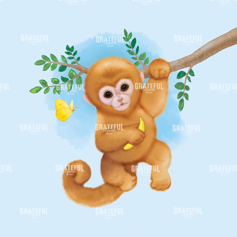 Baby Monkey