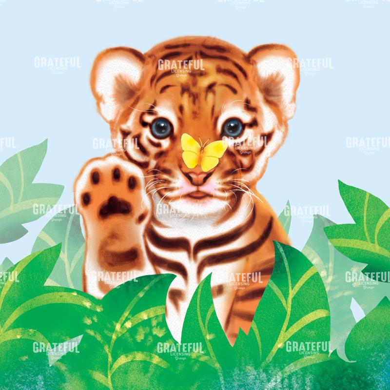 Baby Tiger