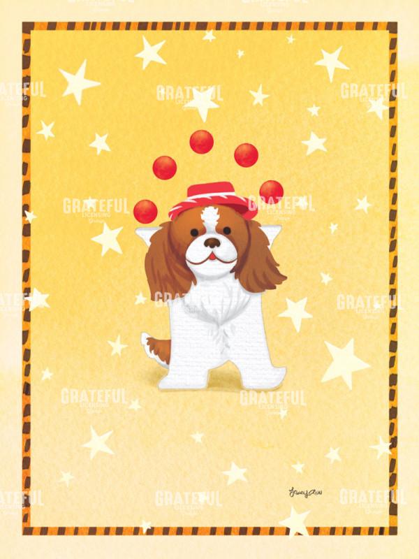 Rumba Dog Spaniel