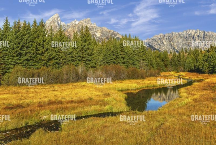 Tranquil Teton