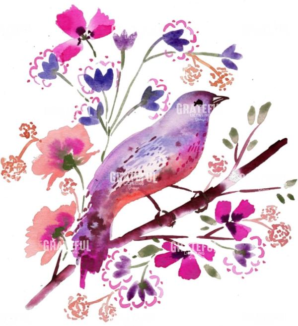 bluebird