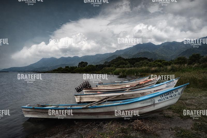 Shoreline Morning 08158