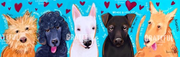Rescue Dogs