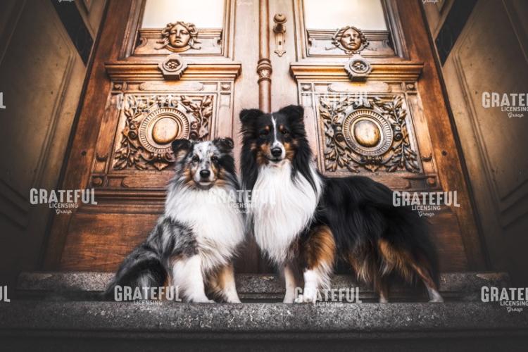 Aussie Duo