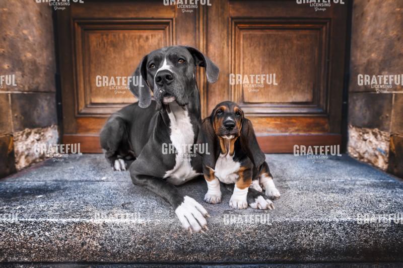 Love Knows No Bounds 2