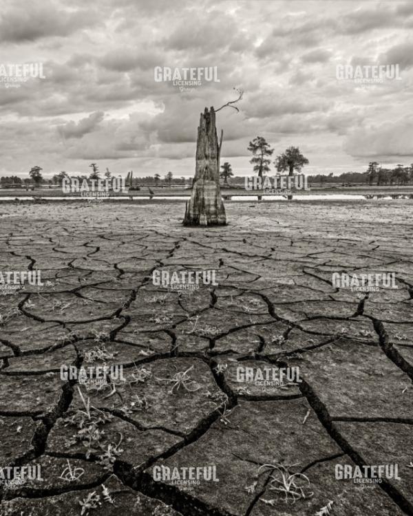 Fissures of Life