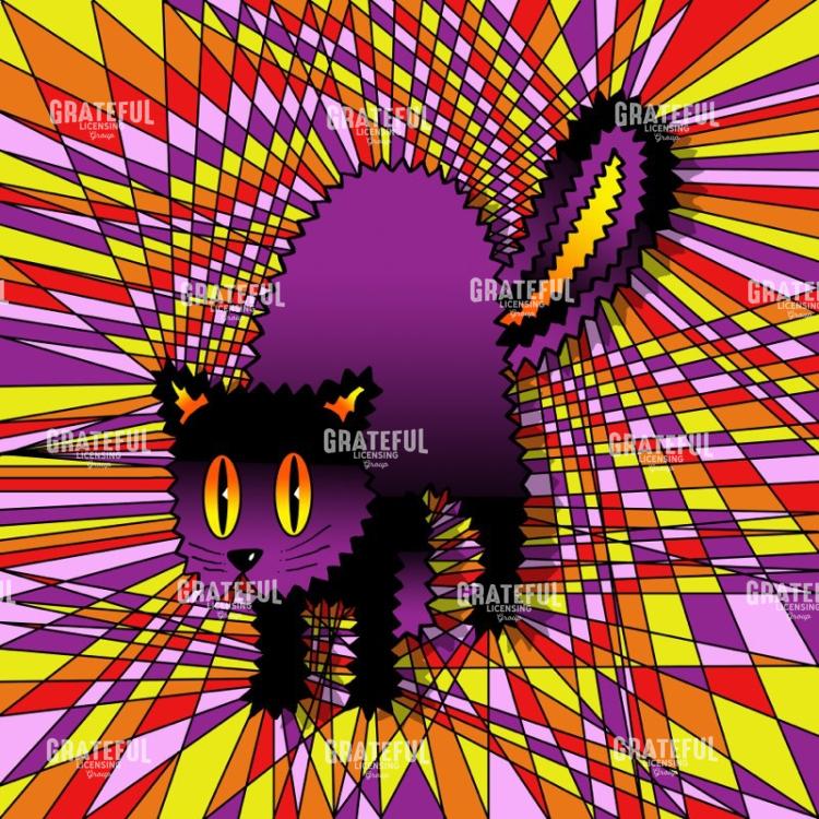 Spooky Cat
