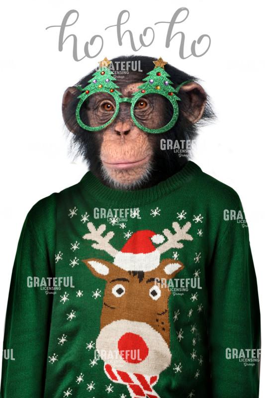 Chimp