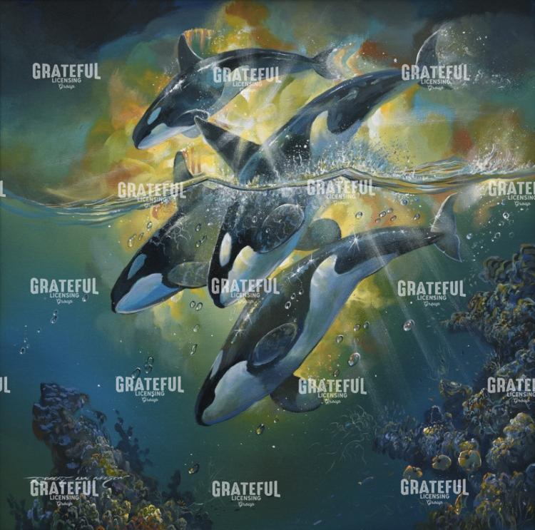 Cosmopolitan Orca Family