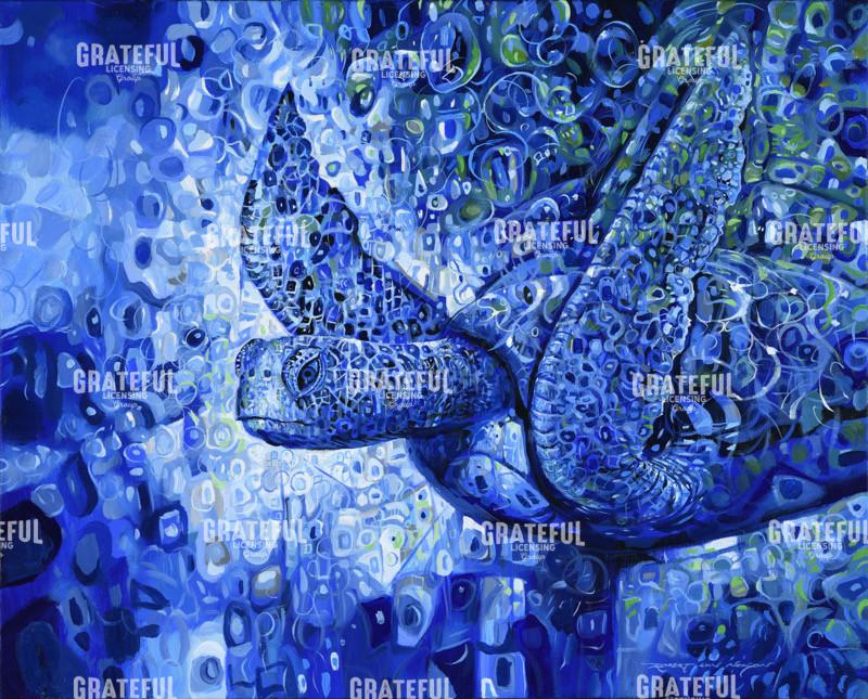 Imperiled Green Sea Turtle