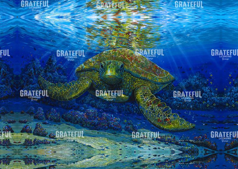 Talk Story with a Turtle