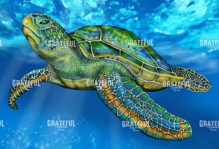 Sea Turtle Ocean