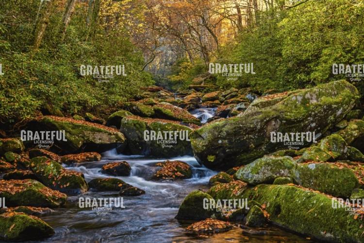 Crowned Santeelah Creek