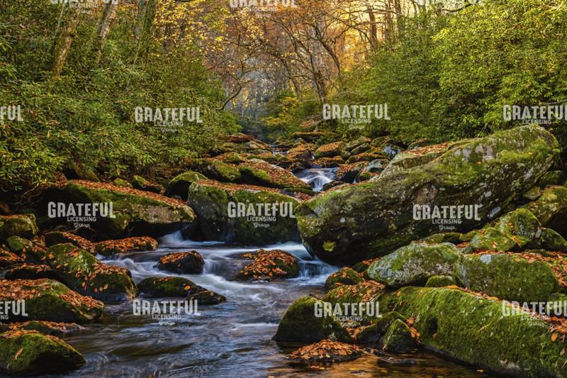 Crowned Santeelah Creek