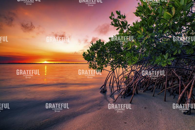 Sunrise Over the St. Lucie River