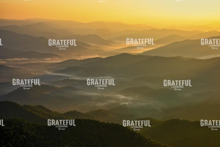 Brasstown Bald Mists