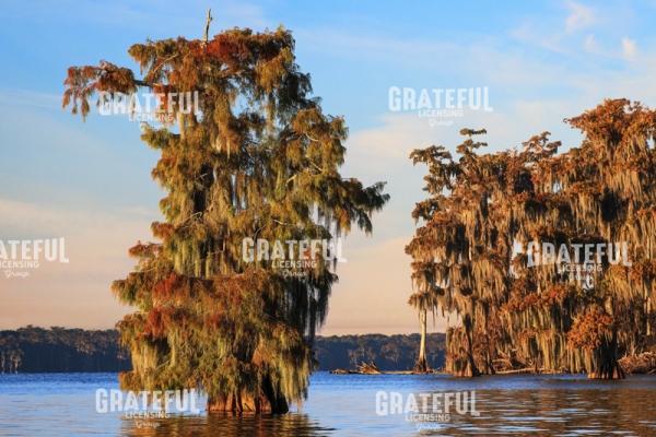 Autumn on Lake Verret