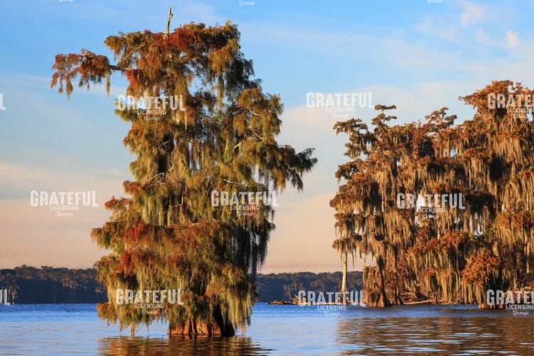 Autumn on Lake Verret