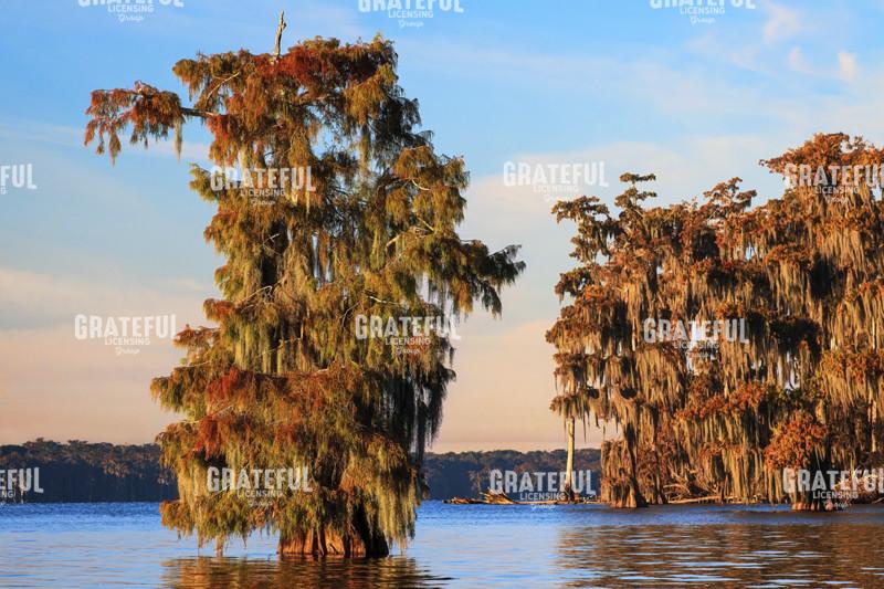 Autumn on Lake Verret