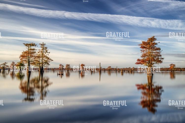 Autumn on the South Flats