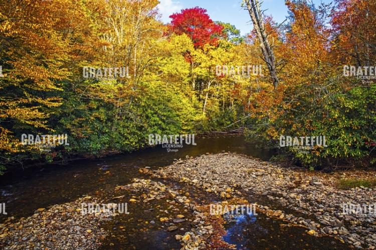 Autumn Spotlight