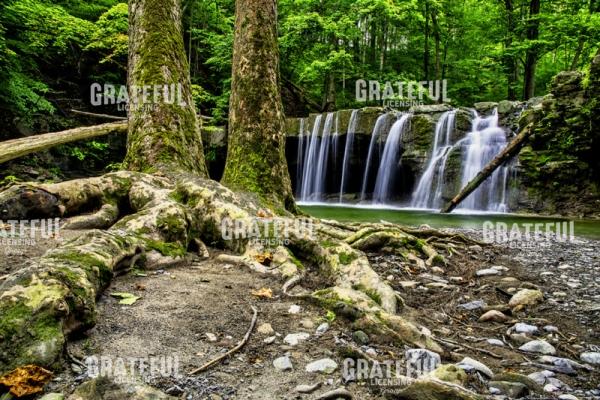 Great Gully Waterfall