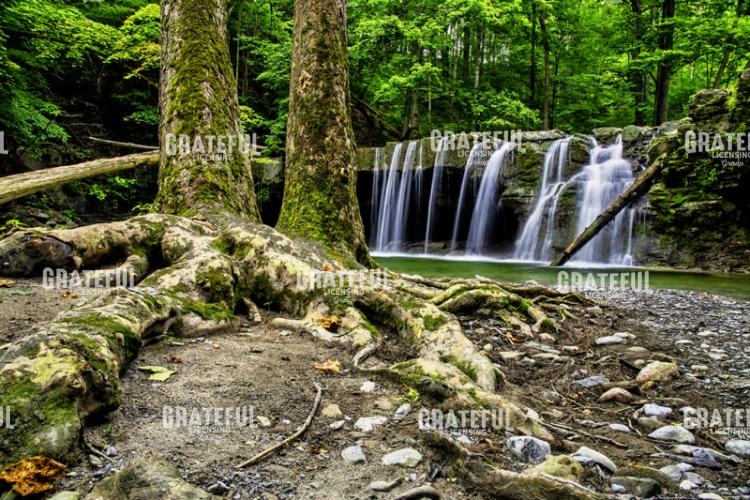 Great Gully Waterfall