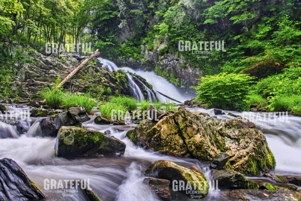 Whiteoak Creek Waterfall