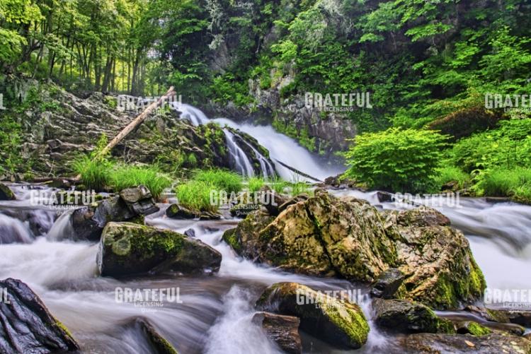Whiteoak Creek Waterfall