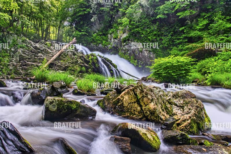 Whiteoak Creek Waterfall