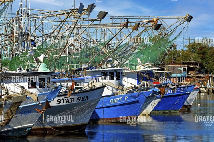 Shrimpers Row
