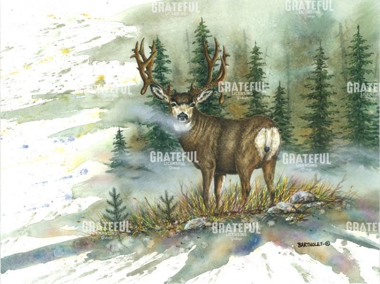 Muley Back Glance