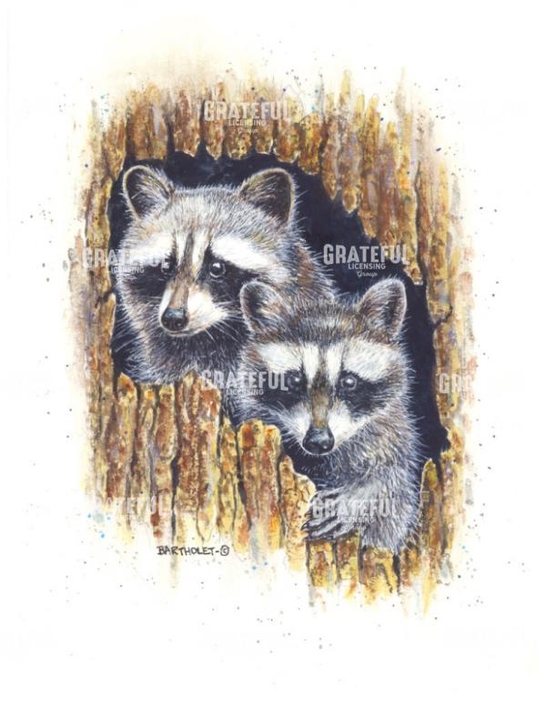 Banditos