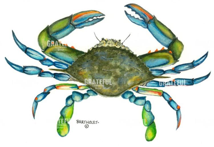 Blue Crab
