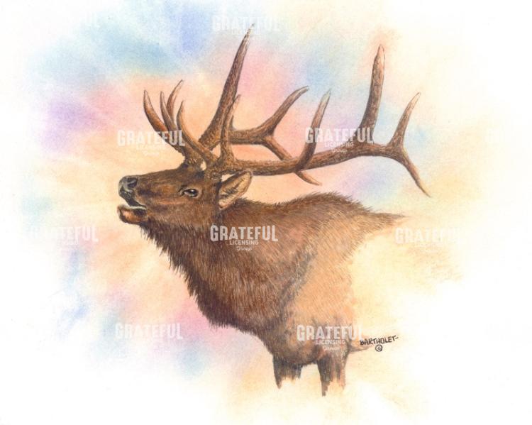 Wapiti