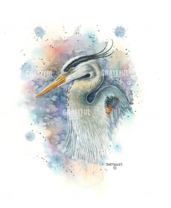 Heron Portrait