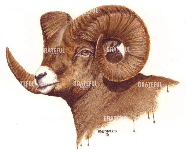 Ram