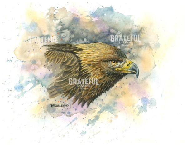 Golden Eagle