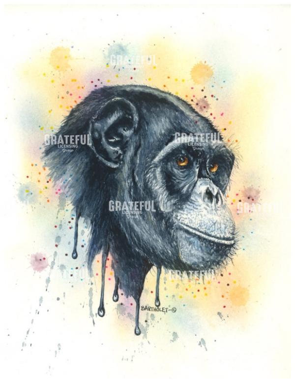 Chimp