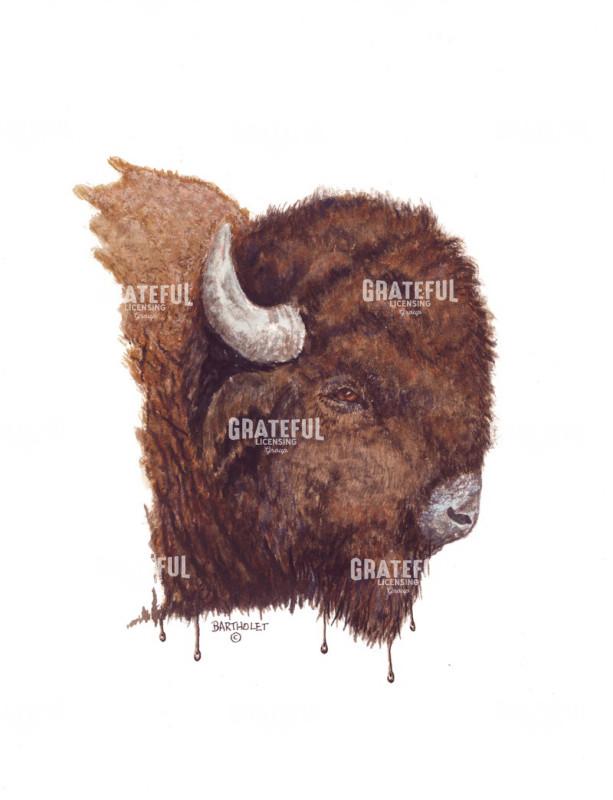 Buffler Bison