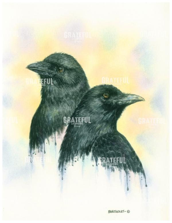 Dos Crows
