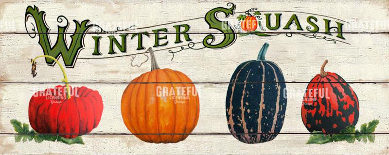 Winter Squash Collection Banner