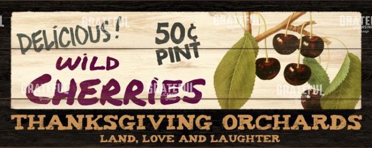 Thanksgiving Orchards - Cherries