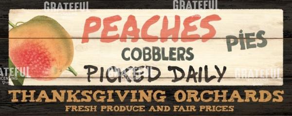 Thanksgiving Orchards - Peaches