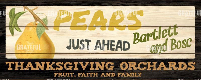 Thanksgiving Orchards - Pears