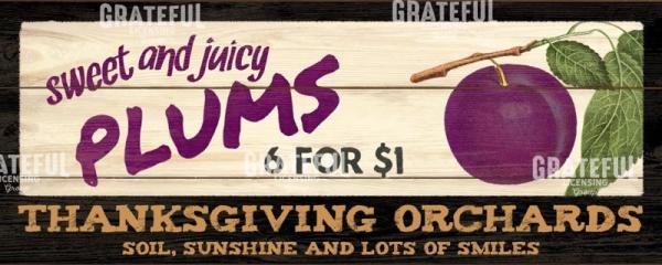 Thanksgiving Orchards - Plums
